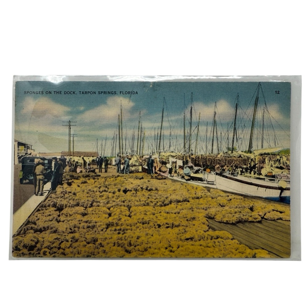 Vintage Linen Postcard‎ Sponges on the Dock Tarpon Springs Florida Tichnor Co